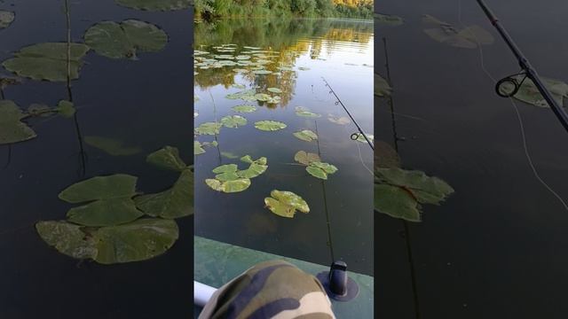 Рыбалка на озере #3