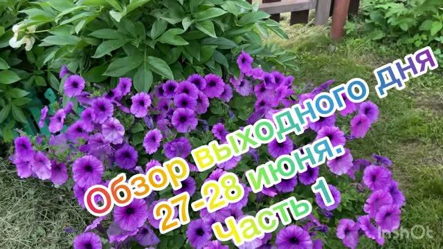 Обзор выходного дня 27-28 июня. Часть 1