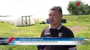 В Марий Эл продолжается сезон клубники