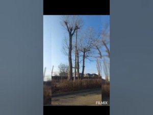 Страшная сотовая вышка