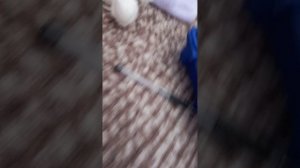 1000125951.mp4