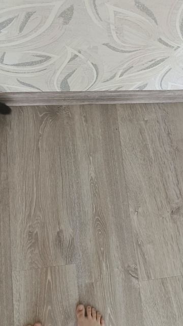 Буся играется новой игрушкой