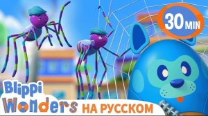 паутина. Изучай этот мир вместе с Блиппи. Обучающие видео для детей. Blippi Russian