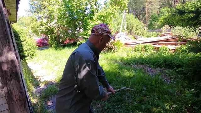 Золотая муха. 12 серия - сказочная