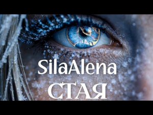 СТАЯ – SilaAlena 🔥 Песня силы...Сохрани трек! Когда потеряешь себя, он напомнит кто ты...