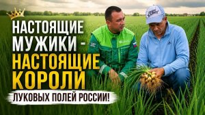 Пыльная головня на луке. Можно ли спасти урожай?