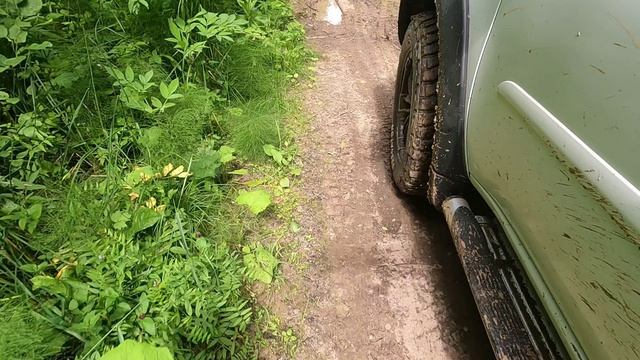 Семейный оффроуд: как Mitsubishi L200 нас за ягодой возил. смотреть онлайн