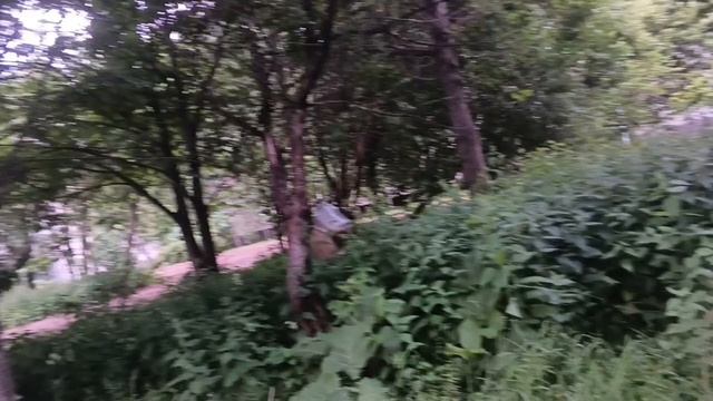 Зубодерка смотреть онлайн