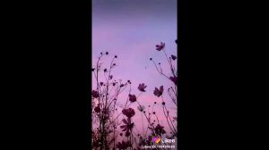 Танцуй, если знаешь этот тренд. Тренды лайка и тик тока. Песни для флешмоба. Likee и Tik Tok