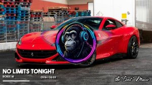 No Limits Tonight - Borix M