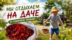 Почему я снова хочу в квартиру? 😅 Дача, уборка, покупки и отдых с родителями