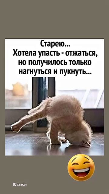 Возраст берет своё   юмор