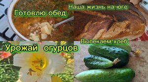 02-07-2026/Краснодарский край/Наша жизнь на юге/Домашние и огородные дела/Хлеб/Рассольник/Урожай/