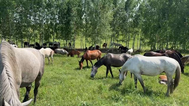 17917341469349 смотреть онлайн