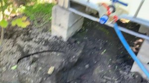 ОГУРЦЫ КАПЕЛЬНЫЙ ПОЛИВ