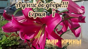 А У НАС ВО ДВОРЕ● СЕРИЯ ●1
