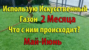 Использую Искусственный газон 2 месяца. Что с ним происходит Май-Июнь