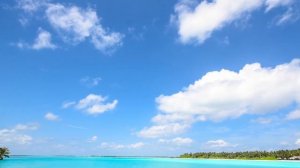 SUNSHINE FUNK ｜ Feel the Groove of a Bright Day