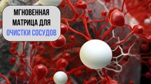Мгновенная Матрица для Очистки Сосудов: Оригинальный Метод!