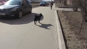 Ленинград - Космос