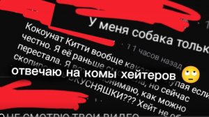 🌿~Отвечаю на комы хейтеров~🌿#ПДБ#ПЛЮШ ДОГ БЛОГЕРСТВО