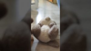 серия 1 машина времени
на английском языке