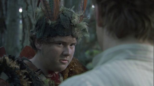 Приключения Мэддиганов 10 серия «Птицемальчики» (сериал, 2006)