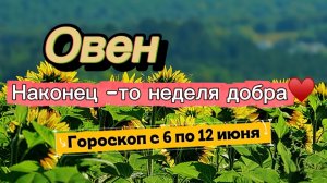 ОВЕН_ ГОРОСКОП 💕  с 6 по 12 июля ‼️ #гадание #таро #раскладтаро