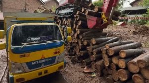 RC машинки 🌲🚚 перевозим бревна из леса Видео детям
