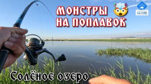 Монстры на поплавок 🤯 Солёное озеро. Ставропольский край.