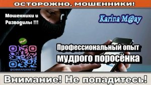 Мошенники звонят по телефону _ Профессиональный опыт мудрого поросёнка..