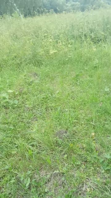 Уровень каналу присвоили. Гуляем?! Налывай