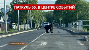 ПАТРУЛЬ 65. Медведь на аллее сказок, подросток-угонщик и пожар в расселённом доме. Сахалин 02.07.26