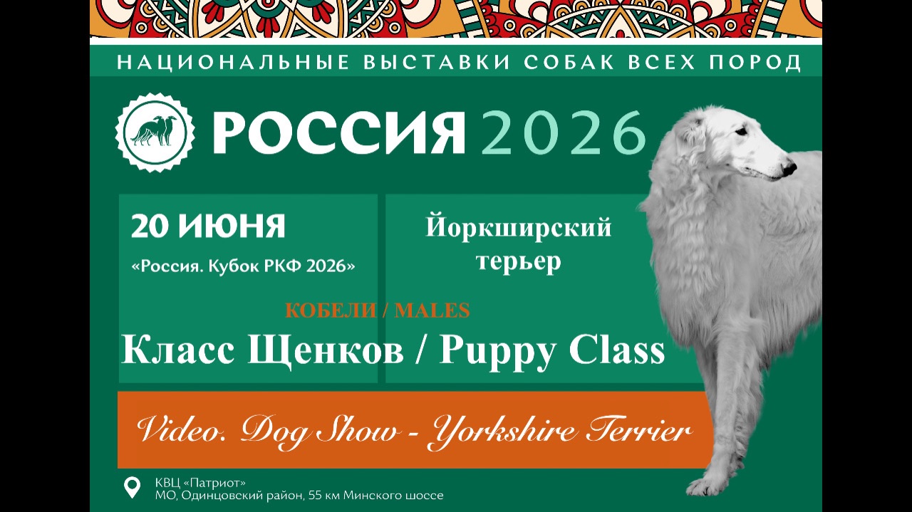 NDS "RUSSIA. RKF CUP 2026" / Males / Puppy Class