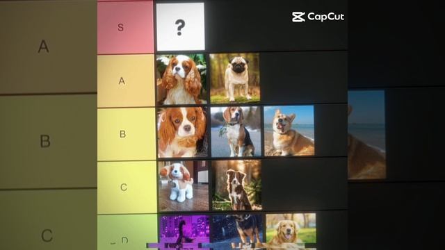 шаблон #capcut