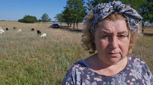 делю имущество с мужем, потому что я круче