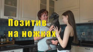 И СНОВА КОЛЯ /ПОЗИТИВ НА НОЖКАХ /25 июня 2026