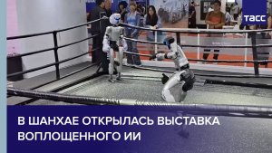В Шанхае открылась выставка воплощенного ИИ