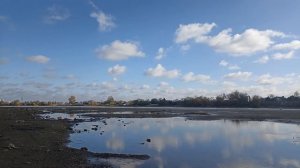 Кубань обмелела