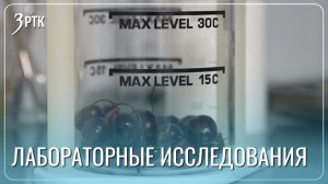 Ягоды с забайкальских прилавков проверили на токсичные вещества