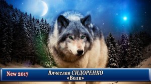 Песня на разрыв души, ДО СЛЁЗ!👍ВОЛК - Вячеслав Сидоренко