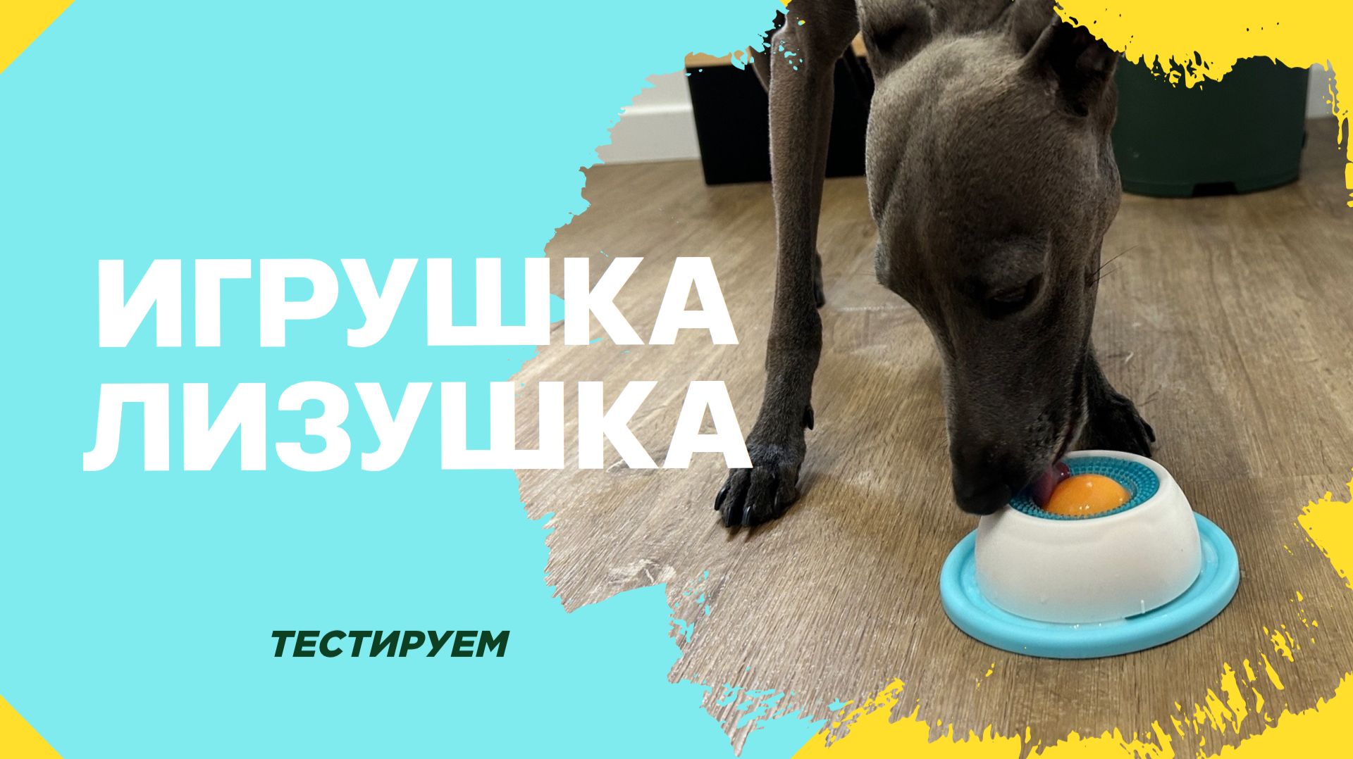 ЛЕВРЕТКА НАЛИЗАЛАСЬ смотреть онлайн