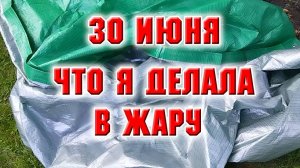 30 июня. Что я делала в жару