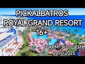 Обзор отеля PICKALBATROS ROYAL GRAND RESORT 16+.Египет Шарм-эш-Шейх 20.10.2025г.