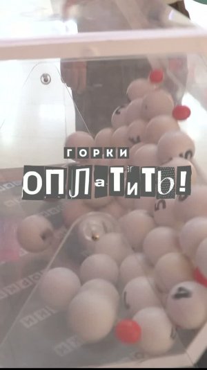 Финал акции «Горки, оплатить!»