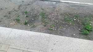 Странный пеший переход у Администрации Кисловодска. 1.07.2026 г.