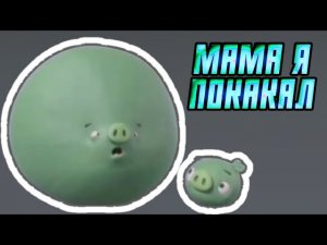 Мама я покакал - мем
