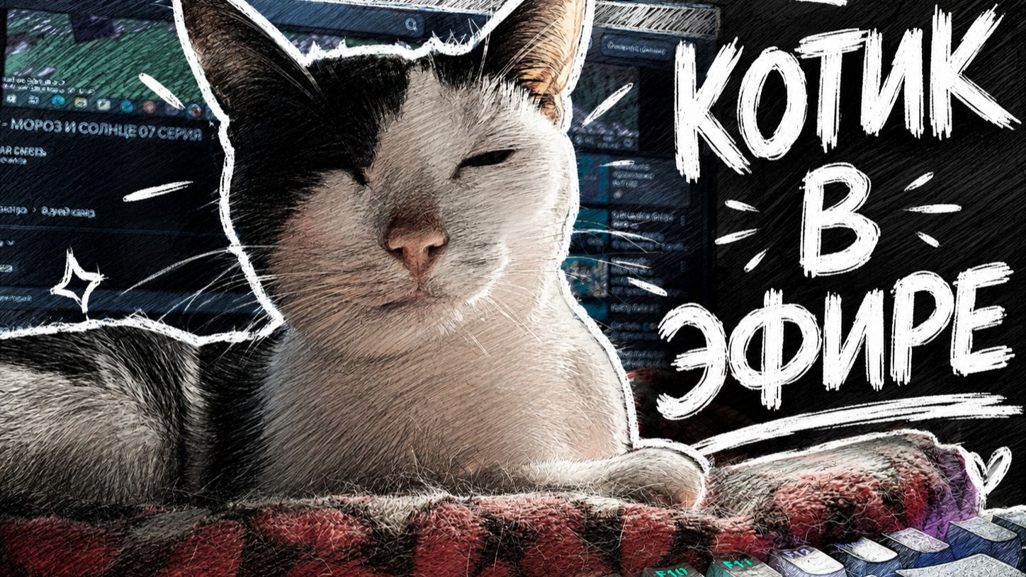 А У ВАШИХ КОТОВ ЕСТЬ МИЛЫЕ ПРИВЫЧКИ?