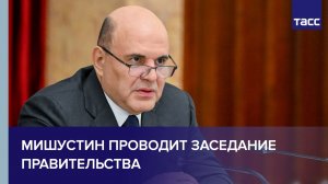 Мишустин проводит заседание правительства