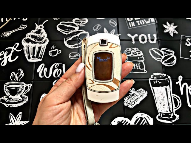 Samsung SGH-E500 La Fleur with Crystals (2006 year) review смотреть онлайн